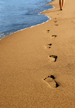 lbi rentals, long beach island, vacation, summer