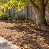 Empty planting bed with sunlit soil and shaded areas beneath a leafy tree, bordered by a curved paved walkway and wooden fence.