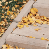 Yellow and brown fallen leaves collect on concrete outdoor steps and adjoining grass.