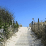 Sand-covered wooden beach path rising between dune fences, with shrubs, dune grass, and blue sky.