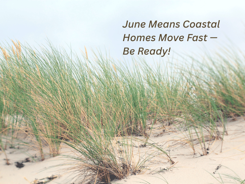 Coastal home on Long Beach Island in June