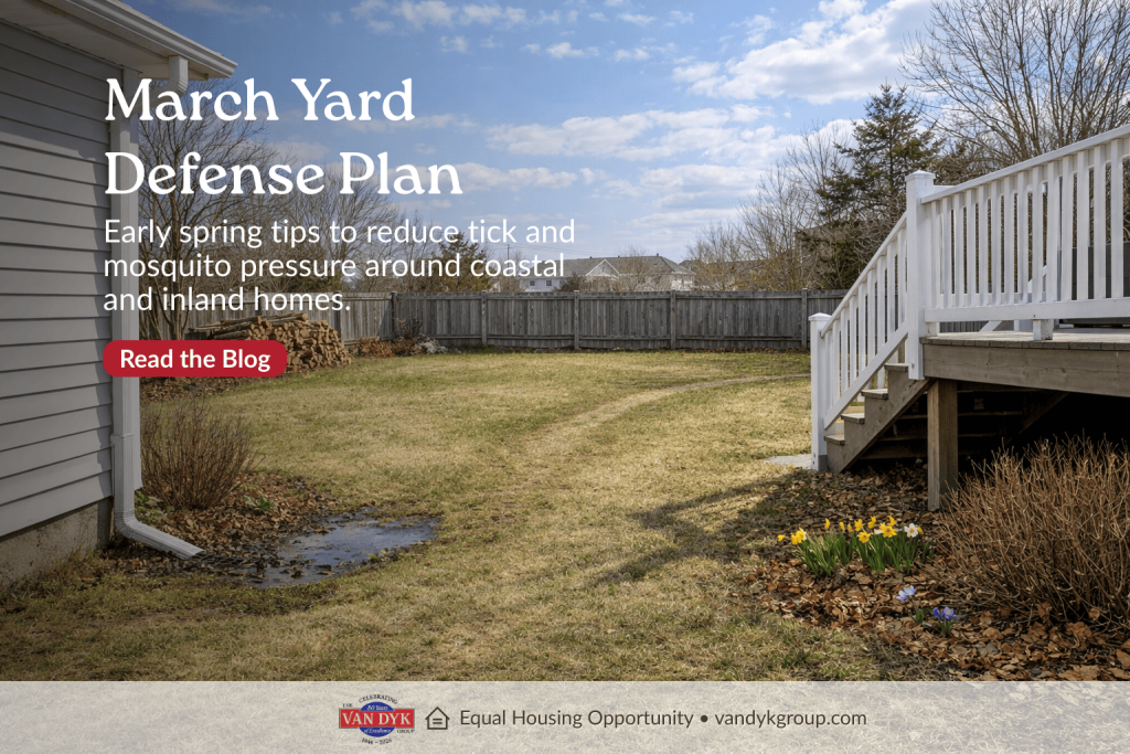 Early-March backyard with downspout drainage, leaf litter, wood pile, and shaded deck area showing tick and mosquito prevention zones.
