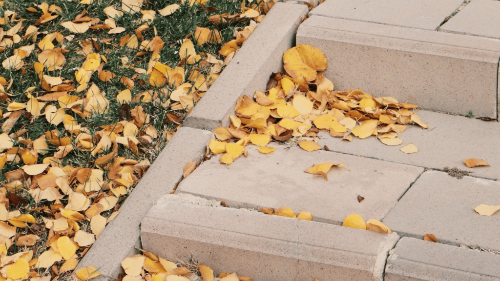 Yellow and brown fallen leaves collect on concrete outdoor steps and adjoining grass.